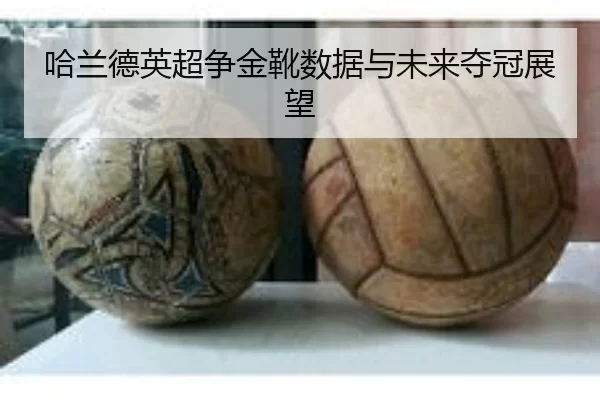 哈兰德英超争金靴数据与未来夺冠展望